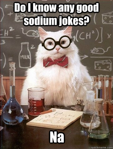 Do I know any good sodium jokes? Na  Chemistry Cat