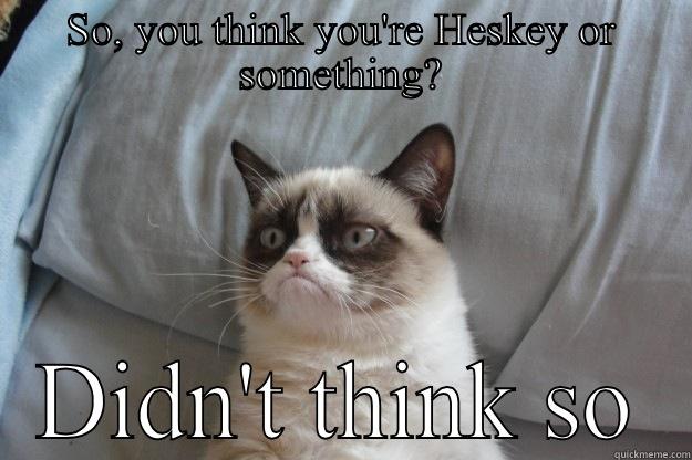 SO, YOU THINK YOU'RE HESKEY OR SOMETHING? DIDN'T THINK SO Grumpy Cat