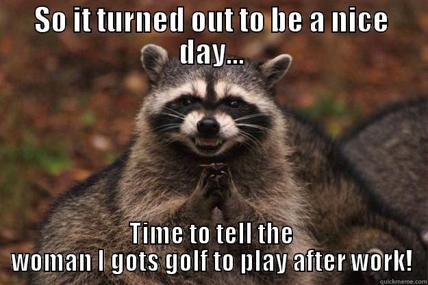 I wanna golf today! - SO IT TURNED OUT TO BE A NICE DAY... TIME TO TELL THE WOMAN I GOTS GOLF TO PLAY AFTER WORK! Evil Plotting Raccoon