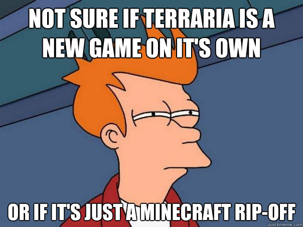 not sure if Terraria is a new game on it's own Or if it's just a Minecraft Rip-off  Futurama Fry