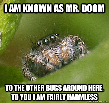 I am known as mr. doom to the other bugs around here. to you I am fairly harmless - I am known as mr. doom to the other bugs around here. to you I am fairly harmless  Misunderstood Spider