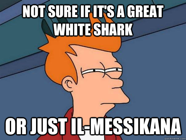 Not sure if it's a great white shark Or just Il-Messikana  Futurama Fry