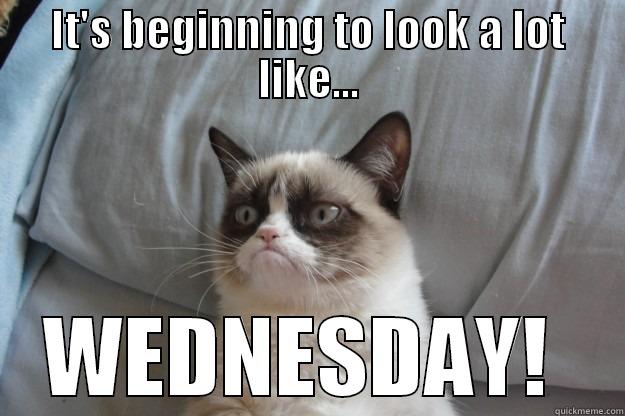 IT'S BEGINNING TO LOOK A LOT LIKE... WEDNESDAY!  Grumpy Cat