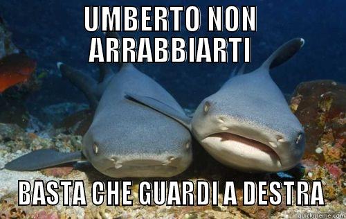 UMBERTO NON ARRABBIARTI BASTA CHE GUARDI A DESTRA Compassionate Shark Friend