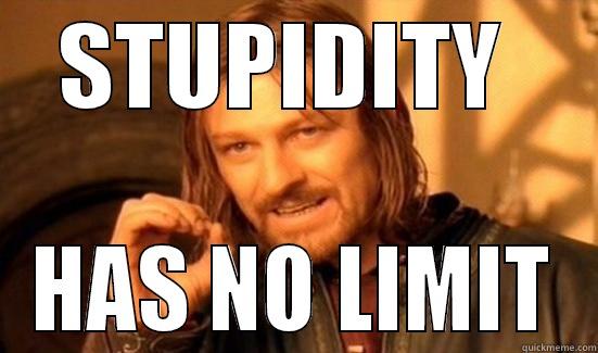 stupidity has no limit - STUPIDITY  HAS NO LIMIT Boromir