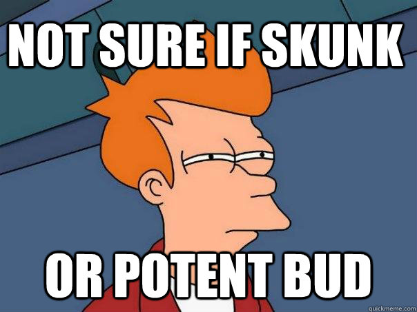 Not sure if skunk or potent bud  Futurama Fry