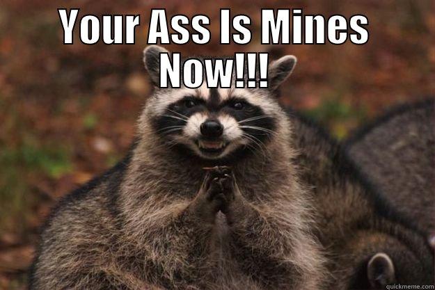 YOUR ASS IS MINES NOW!!!  Evil Plotting Raccoon