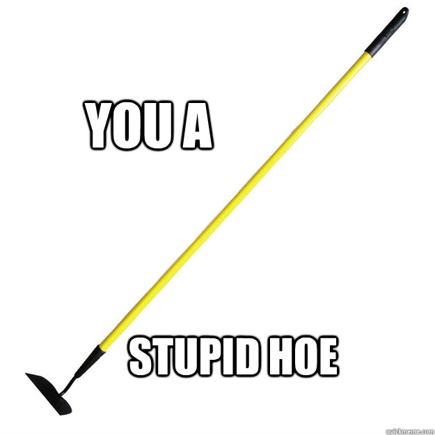 You a stupid hoe  Stupid Hoe