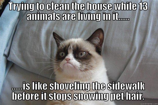 TRYING TO CLEAN THE HOUSE WHILE 13 ANIMALS ARE LIVING IN IT...... ......IS LIKE SHOVELING THE SIDEWALK BEFORE IT STOPS SNOWING PET HAIR. Grumpy Cat