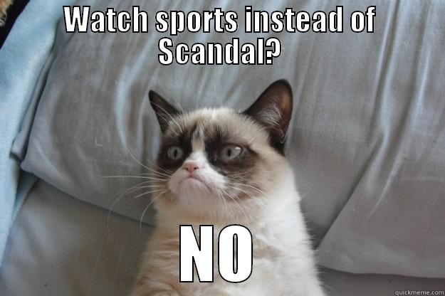 Grumpy Gladiator - WATCH SPORTS INSTEAD OF SCANDAL? NO Grumpy Cat