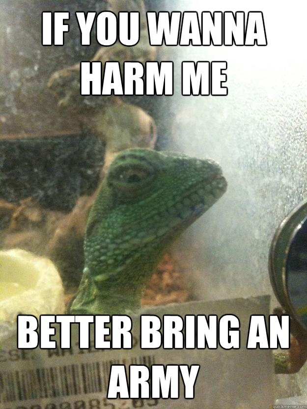 If you wanna harm me better bring an army  Leery Lizard