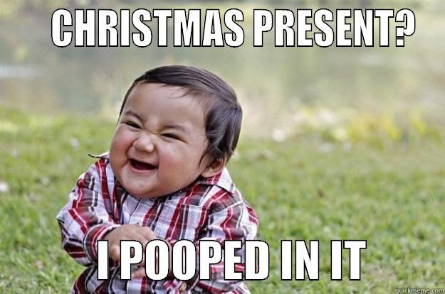 For a friend -     CHRISTMAS PRESENT?             I POOPED IN IT         Evil Toddler