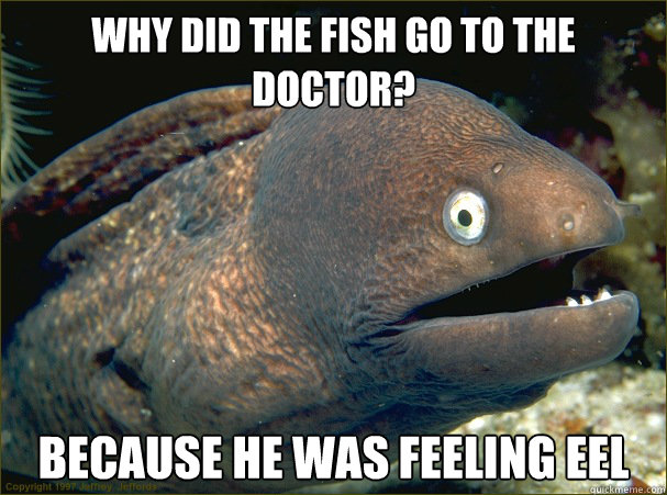 Why did the fish go to the Doctor? Because he was feeling eel - Why did the fish go to the Doctor? Because he was feeling eel  Bad Joke Eel