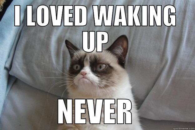 I LOVED WAKING UP NEVER Grumpy Cat