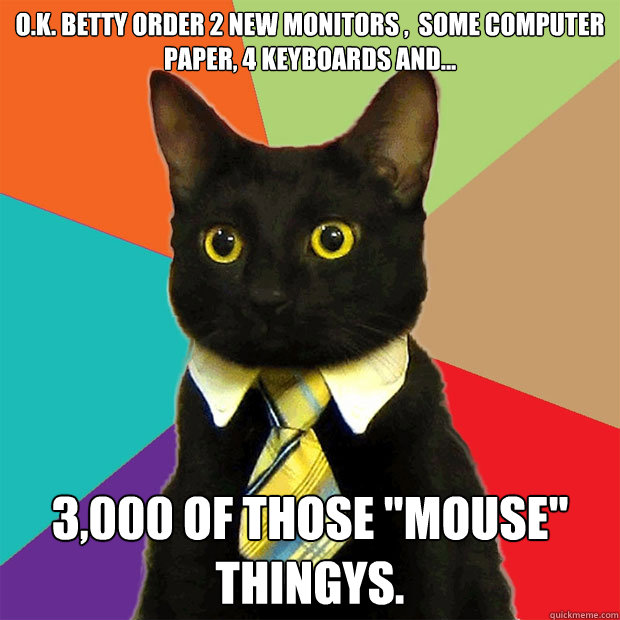 o.k. betty order 2 new monitors ,  some computer paper, 4 keyboards and... 3,000 of those 