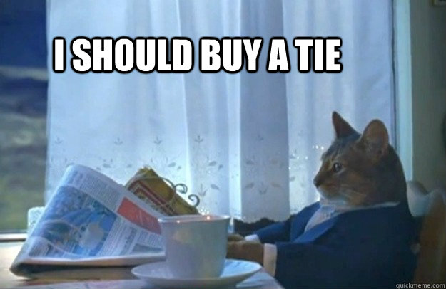 I should buy a tie  Sophisticated Cat