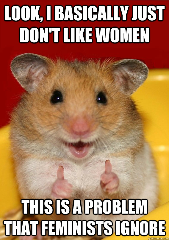 look, i basically just don't like women this is a problem that feminists ignore  - look, i basically just don't like women this is a problem that feminists ignore   Rationalization Hamster