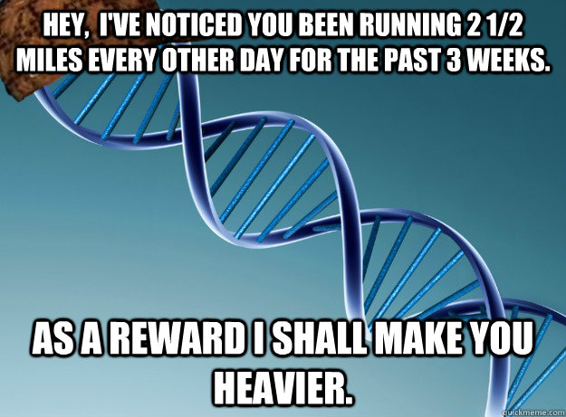 hey,  I've noticed you been running 2 1/2 miles every other day for the past 3 weeks. as a reward I shall make you heavier. - hey,  I've noticed you been running 2 1/2 miles every other day for the past 3 weeks. as a reward I shall make you heavier.  Scumbag Genetics