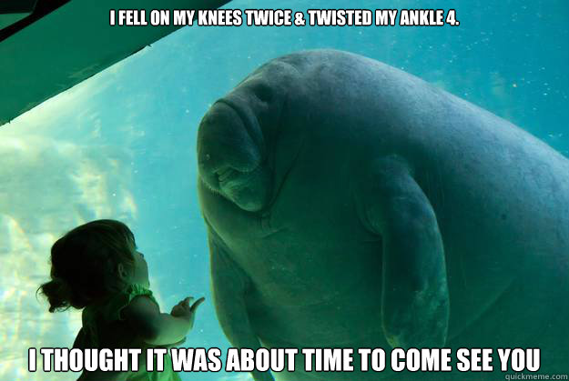 i fell on my knees twice & twisted my ankle 4. i thought it was about time to come see you - i fell on my knees twice & twisted my ankle 4. i thought it was about time to come see you  Overlord Manatee