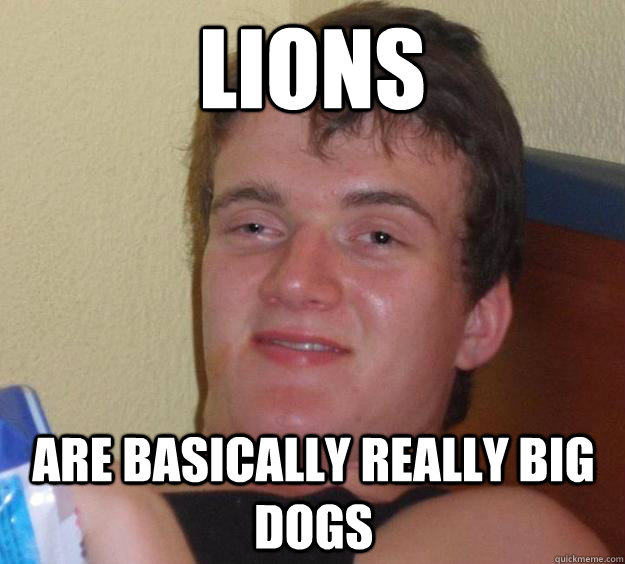 LIONS ARE BASICALLY REALLY BIG DOGS  10 Guy