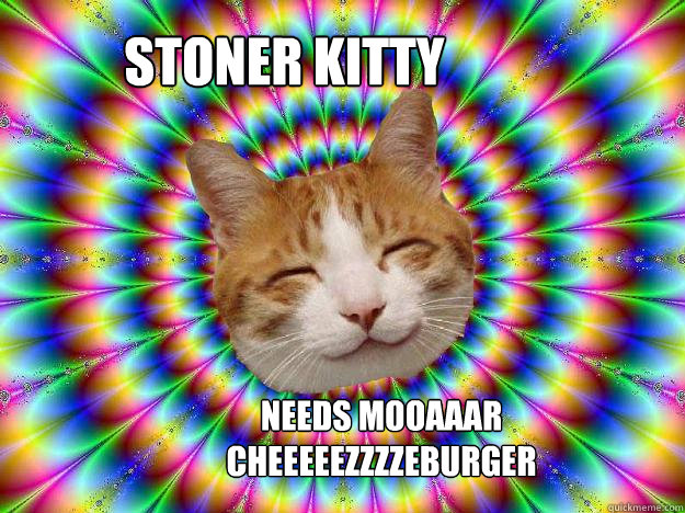 Stoner kitty needs mooaaar cheeeeezzzzeburger  