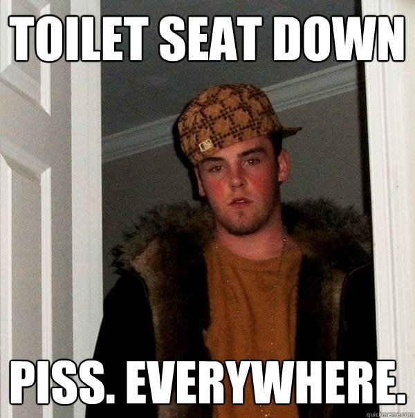 Toilet Seat Down Piss. Everywhere.   Scumbag Steve