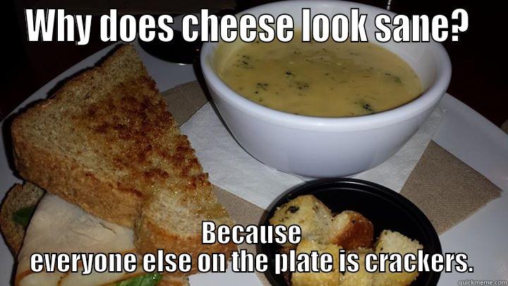 WHY DOES CHEESE LOOK SANE?  BECAUSE EVERYONE ELSE ON THE PLATE IS CRACKERS. Misc