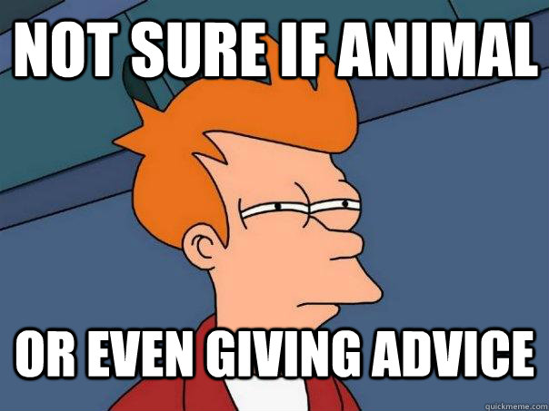 Not sure if animal or even giving advice  Futurama Fry