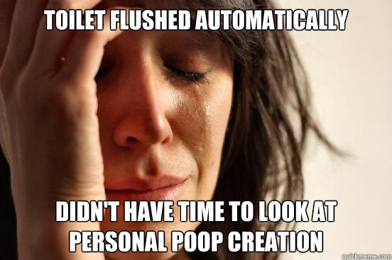 TOILET FLUSHED AUTOMATICALLY DIDN'T HAVE TIME TO LOOK AT PERSONAL POOP CREATION  First World Problems