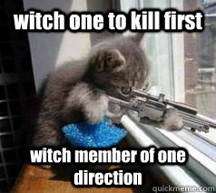 witch one to kill first witch member of one direction  sniper cat