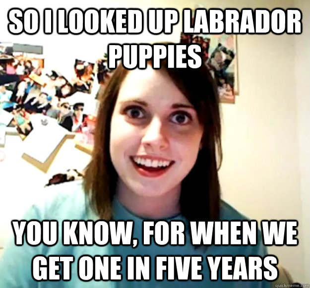 So I looked up labrador puppies You know, for when we get one in five years  Overly Attached Girlfriend