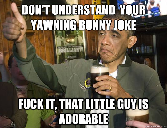 don't understand  your 
yawning bunny joke fuck it, that little guy is adorable  Upvoting Obama