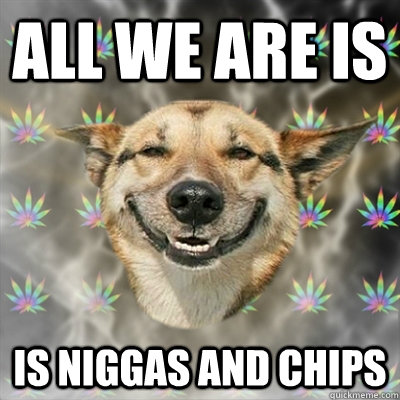 All we are is is NIggas and chips  Stoner Dog