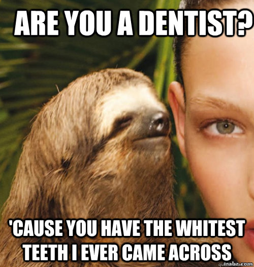 are you a dentist? 'cause you have the whitest teeth I ever came across - are you a dentist? 'cause you have the whitest teeth I ever came across  rape sloth