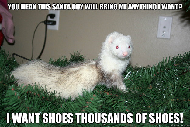 You mean this Santa guy will bring me anything i want? I WANT SHOES THOUSANDS OF SHOES!  Surprised Ferret