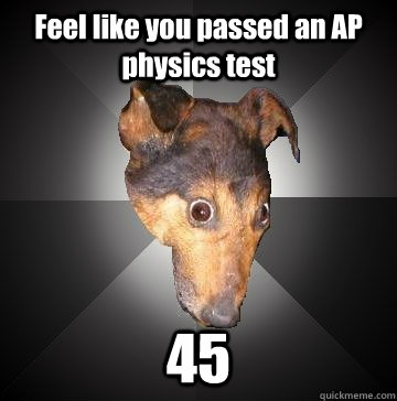 Feel like you passed an AP physics test 45  Depression Dog