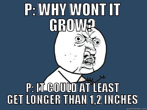 P I EN NØDDESKAL - P: WHY WONT IT GROW? P: IT COULD AT LEAST GET LONGER THAN 1,2 INCHES Y U No