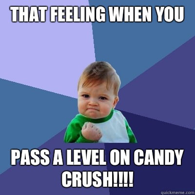 That feeling when you  Pass a level on Candy Crush!!!!  Success Kid