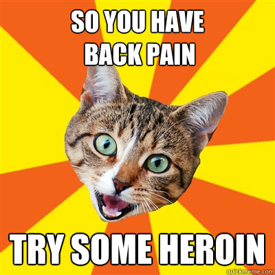 so you have
 back pain try some heroin  Bad Advice Cat