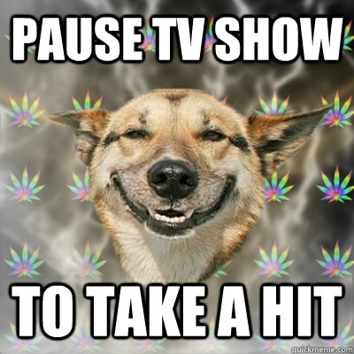 Pause TV Show to take a hit  Stoner Dog