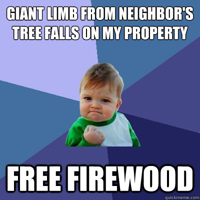 Giant limb from neighbor's tree falls on my property Free firewood - Giant limb from neighbor's tree falls on my property Free firewood  Success Kid