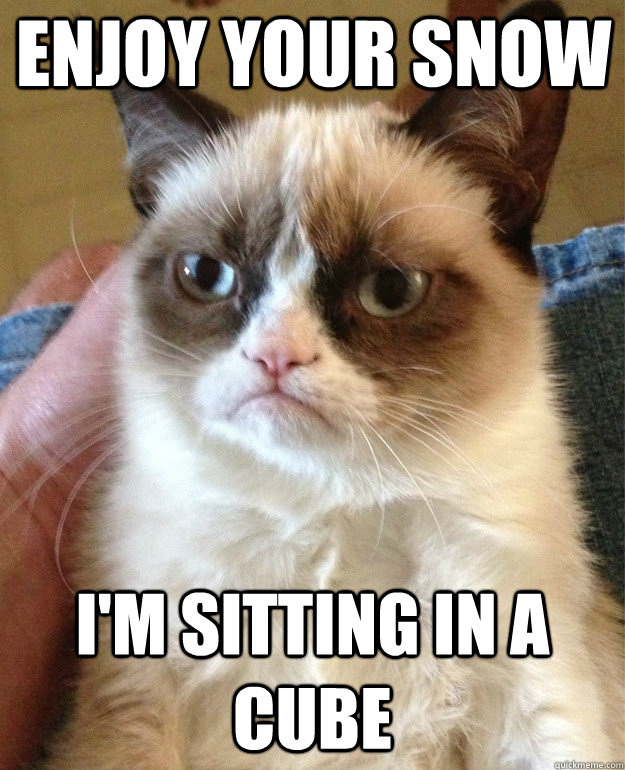 Enjoy your Snow I'm sitting in a cube  Grumpy Cat