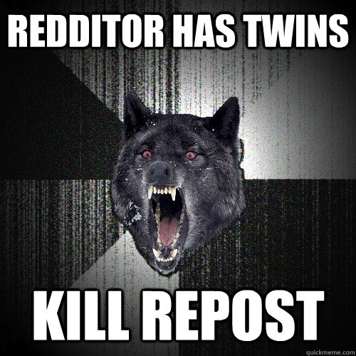 Redditor has twins Kill repost  Insanity Wolf