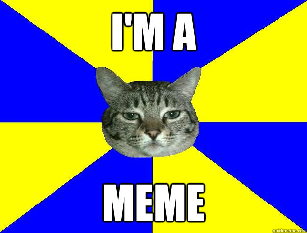 I'm A Meme - I'm A Meme  Indifferent Cat