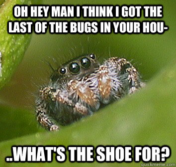 oh Hey man I think I got the last of the bugs in your hou- ..what's the shoe for?  Misunderstood Spider