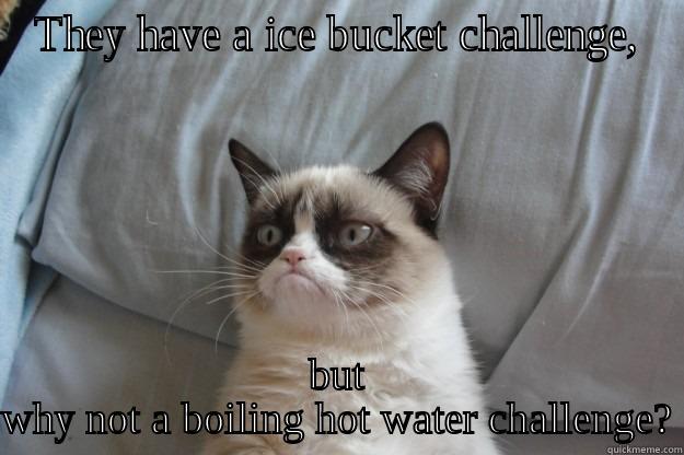 Boiling hot water challenge - THEY HAVE A ICE BUCKET CHALLENGE, BUT WHY NOT A BOILING HOT WATER CHALLENGE? Grumpy Cat