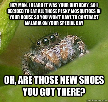 Hey man, I heard it was your birthday, so i decided to eat all those pesky mosquitoes in your house so you won't have to contract malaria on your special day Oh, are those new shoes you got there?    - Hey man, I heard it was your birthday, so i decided to eat all those pesky mosquitoes in your house so you won't have to contract malaria on your special day Oh, are those new shoes you got there?     Misunderstood Spider