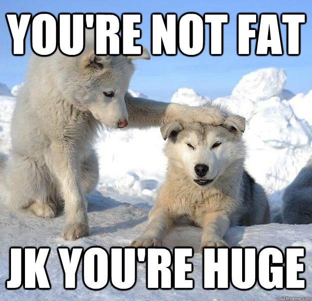 you're not fat
 jk you're huge  Caring Husky