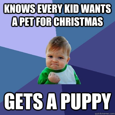 KNOWS EVERY KID WANTS A PET FOR CHRISTMAS GETS A PUPPY  Success Kid