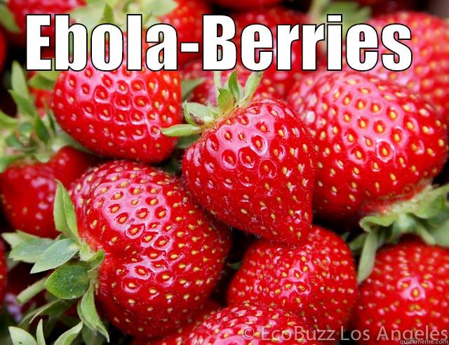 EBOLA-BERRIES  Misc